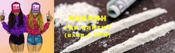 гидра Аркадак