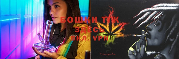 гидра Аркадак