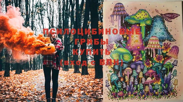 прущая мука Арсеньев
