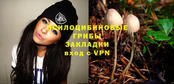 гидра Аркадак