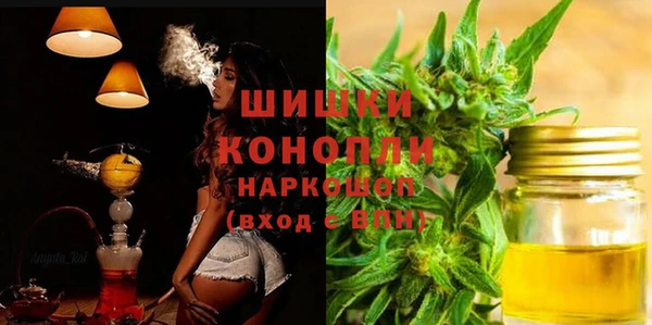 гидра Аркадак