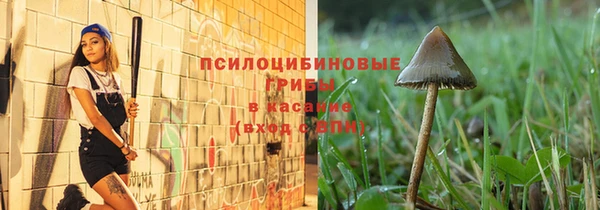 гидра Аркадак
