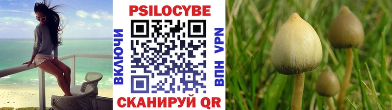 darknet формула  Мышкин  Галлюциногенные грибы Psilocybine cubensis 